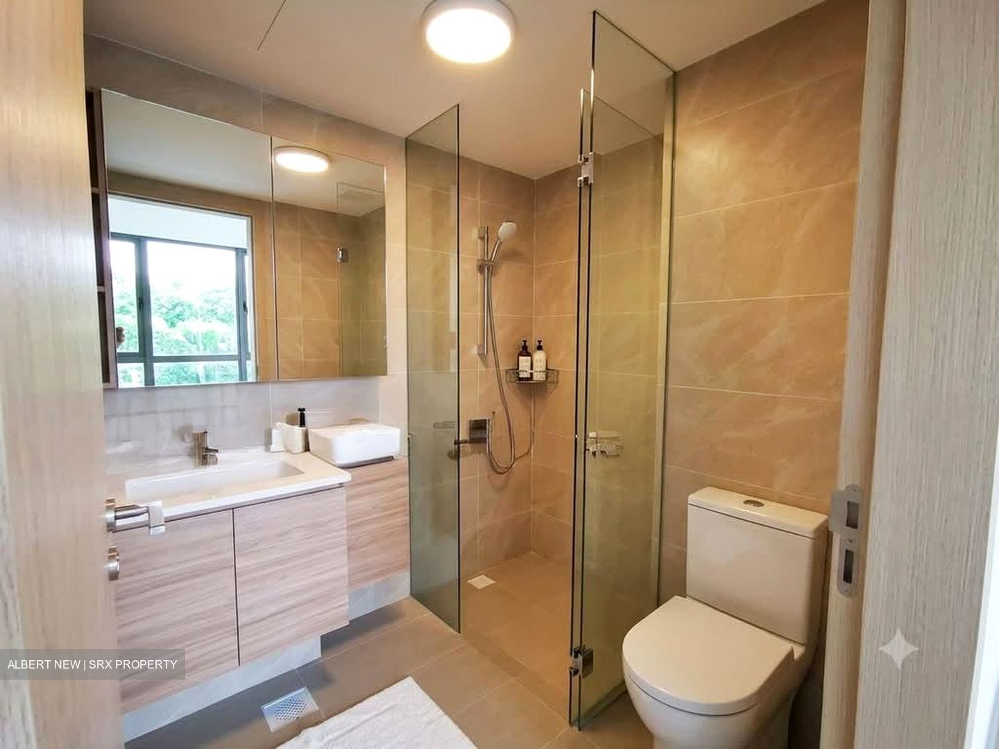 Treasure at Tampines (D18), Condominium #574497681